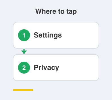 Where to tap: Settings then Privacy